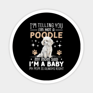 I'm telling you I'm not a poodle my mom said I'm a baby and my mom is always right Magnet